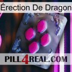 Érection De Dragon 02
